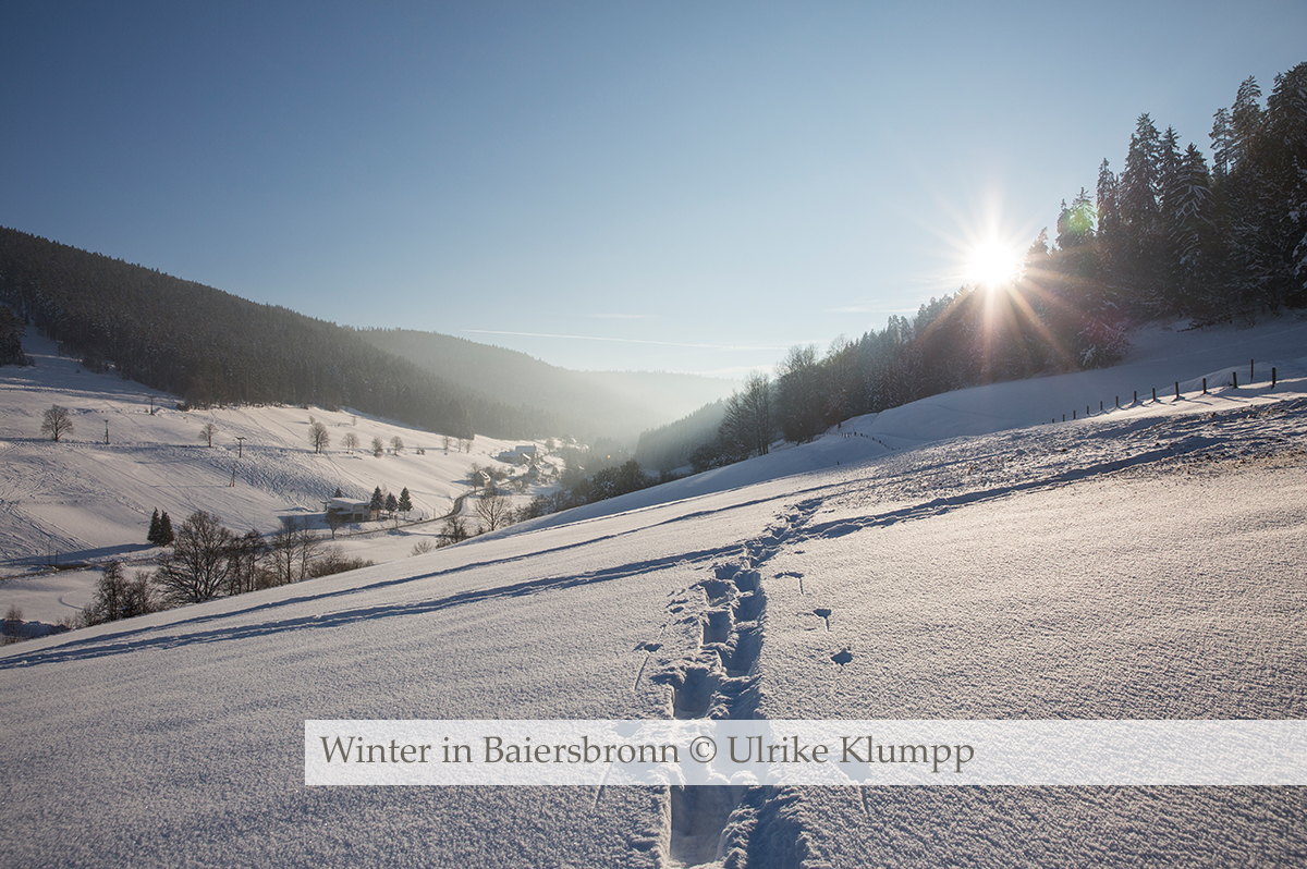 [Translate to English:] Winter in Baiersbronn